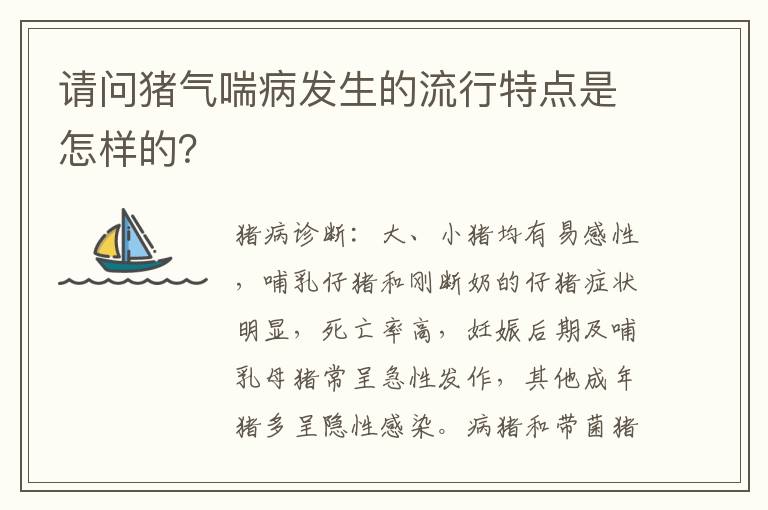 请问猪气喘病发生的流行特点是怎样的？