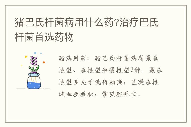 猪巴氏杆菌病用什么药?治疗巴氏杆菌首选药物