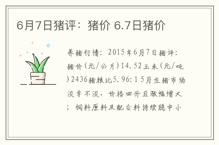 6月7日猪评：猪价 6.7日猪价