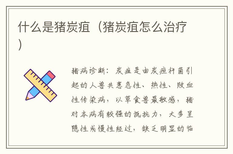 什么是猪炭疽（猪炭疽怎么治疗）