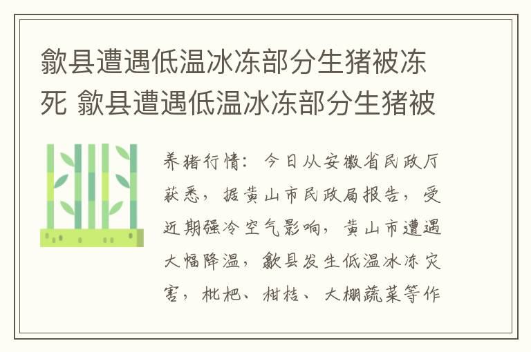歙县遭遇低温冰冻部分生猪被冻死 歙县遭遇低温冰冻部分生猪被冻死事件