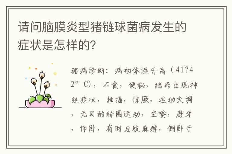 请问脑膜炎型猪链球菌病发生的症状是怎样的？