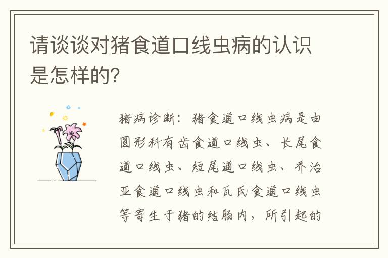 请谈谈对猪食道口线虫病的认识是怎样的？