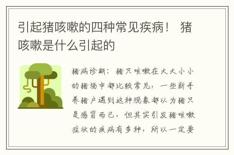 引起猪咳嗽的四种常见疾病！ 猪咳嗽是什么引起的
