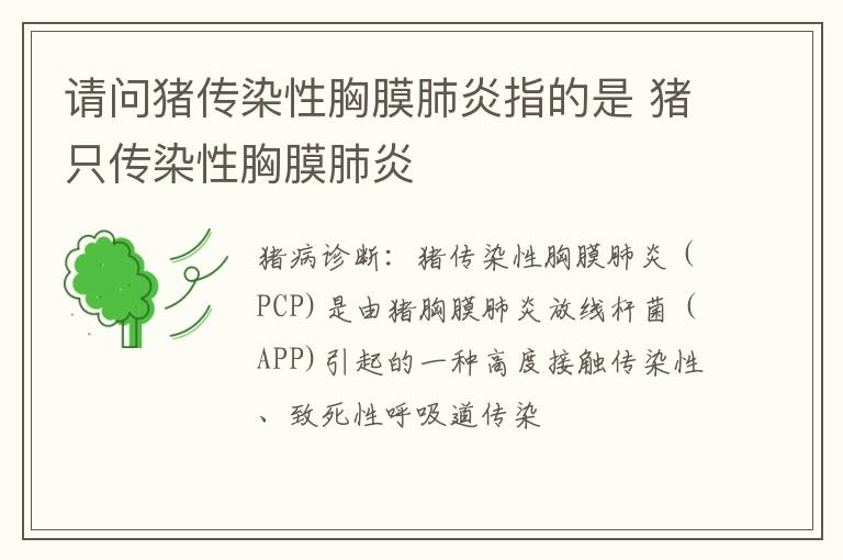 请问猪传染性胸膜肺炎指的是 猪只传染性胸膜肺炎