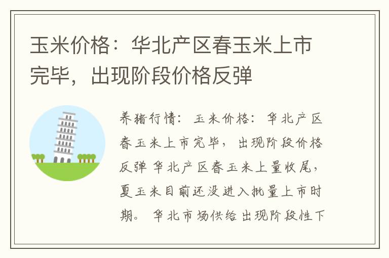 玉米价格：华北产区春玉米上市完毕，出现阶段价格反弹