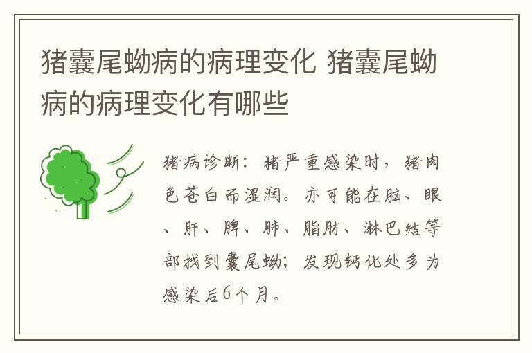 猪囊尾蚴病的病理变化 猪囊尾蚴病的病理变化有哪些
