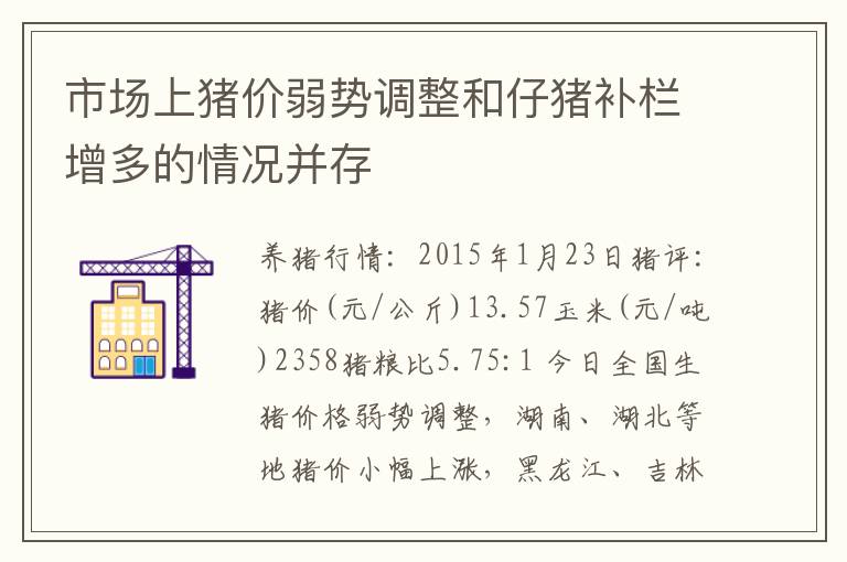 市场上猪价弱势调整和仔猪补栏增多的情况并存