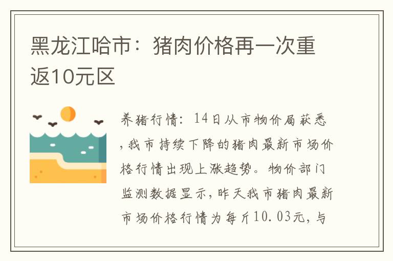 黑龙江哈市：猪肉价格再一次重返10元区