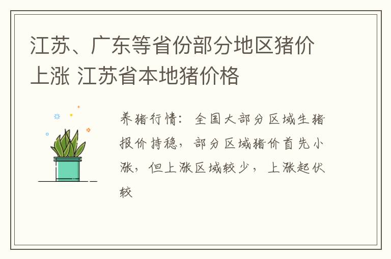 江苏、广东等省份部分地区猪价上涨 江苏省本地猪价格