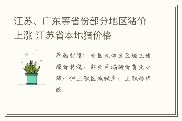 江苏、广东等省份部分地区猪价上涨 江苏省本地猪价格