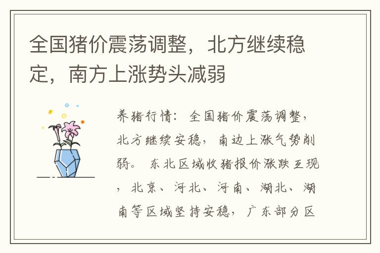 全国猪价震荡调整，北方继续稳定，南方上涨势头减弱