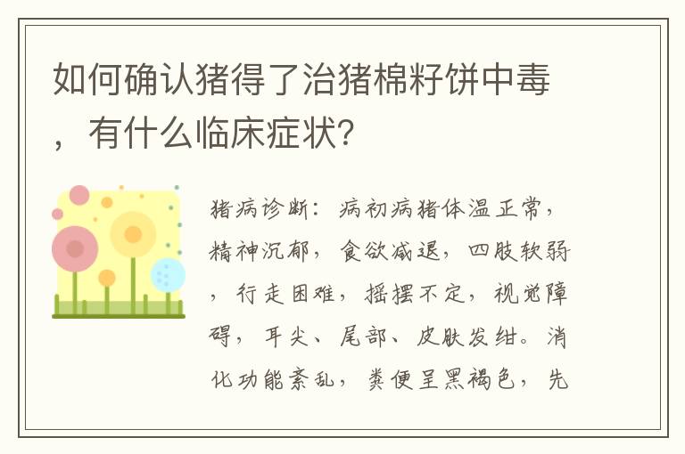 如何确认猪得了治猪棉籽饼中毒，有什么临床症状？