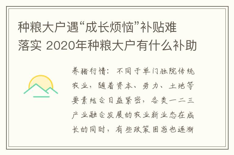 种粮大户遇“成长烦恼”补贴难落实 2020年种粮大户有什么补助