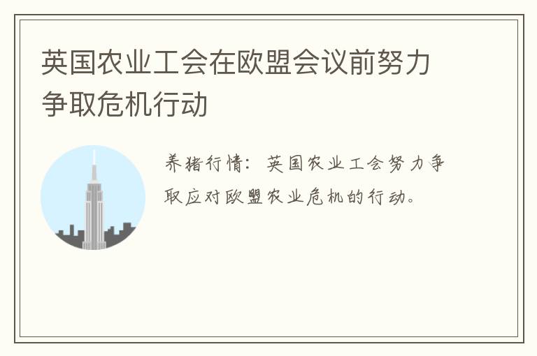 英国农业工会在欧盟会议前努力争取危机行动