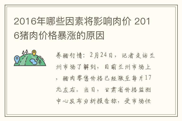 2016年哪些因素将影响肉价 2016猪肉价格暴涨的原因
