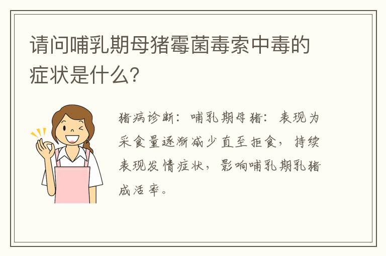 请问哺乳期母猪霉菌毒索中毒的症状是什么？