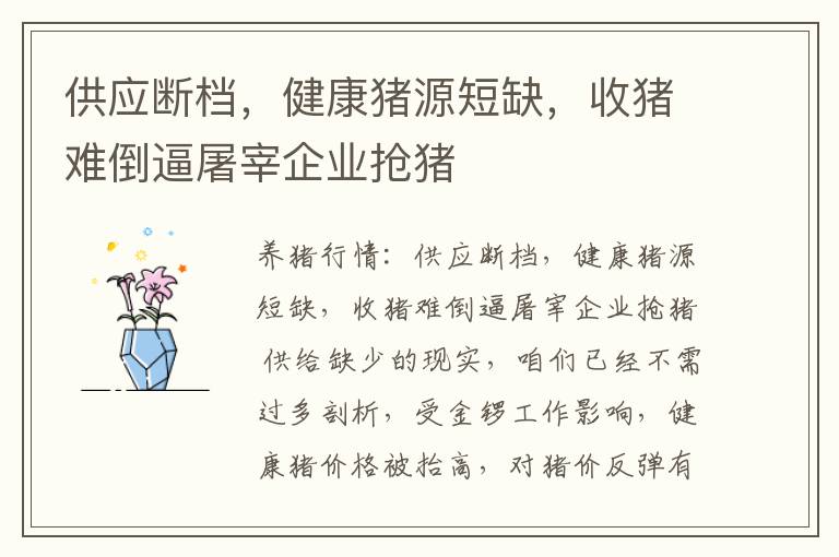 供应断档，健康猪源短缺，收猪难倒逼屠宰企业抢猪