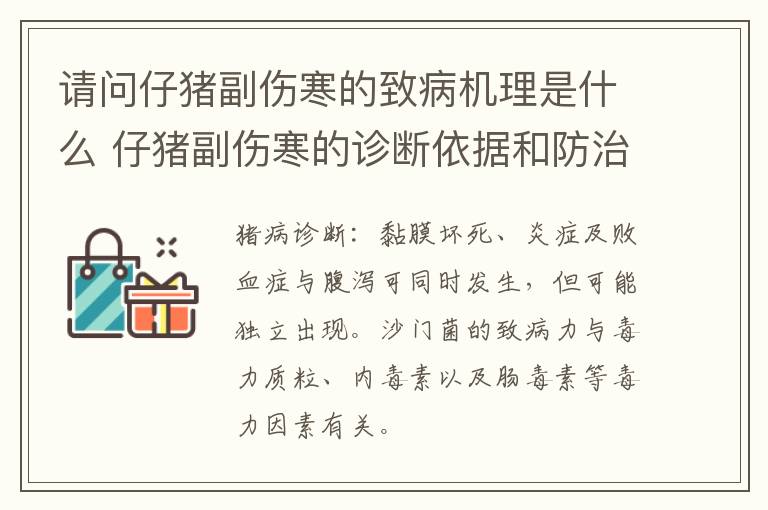 请问仔猪副伤寒的致病机理是什么 仔猪副伤寒的诊断依据和防治措施