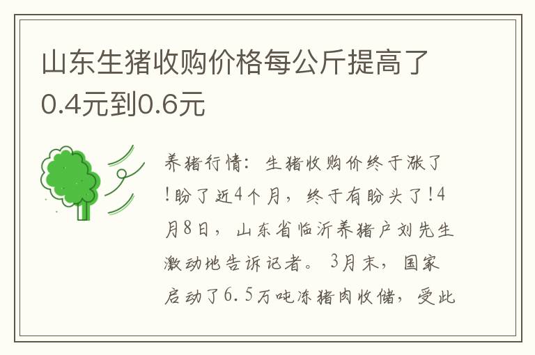山东生猪收购价格每公斤提高了0.4元到0.6元