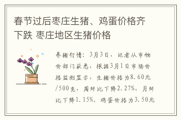 春节过后枣庄生猪、鸡蛋价格齐下跌 枣庄地区生猪价格