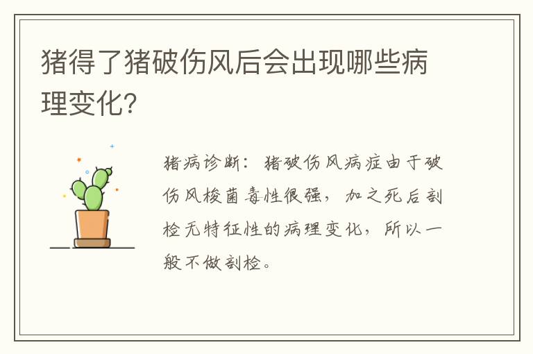 猪得了猪破伤风后会出现哪些病理变化？