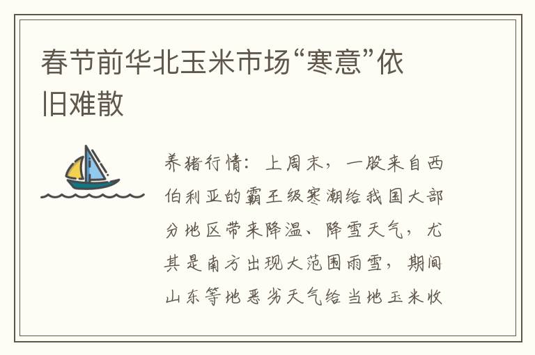 春节前华北玉米市场“寒意”依旧难散