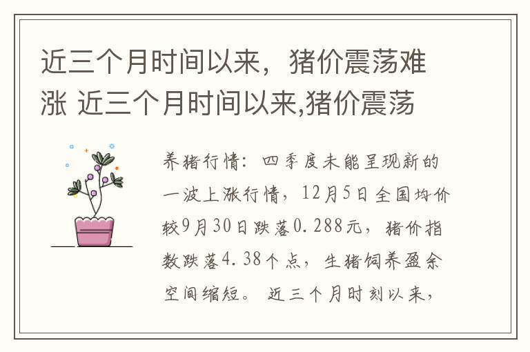 近三个月时间以来，猪价震荡难涨 近三个月时间以来,猪价震荡难涨怎么办