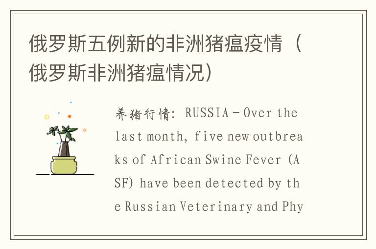 俄罗斯五例新的非洲猪瘟疫情（俄罗斯非洲猪瘟情况）