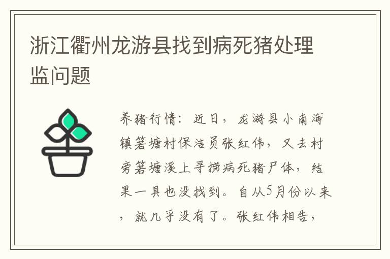 浙江衢州龙游县找到病死猪处理监问题