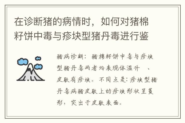 在诊断猪的病情时，如何对猪棉籽饼中毒与疹块型猪丹毒进行鉴别？