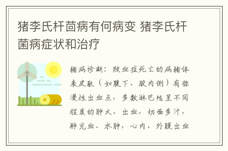 猪李氏杆茴病有何病变 猪李氏杆菌病症状和治疗