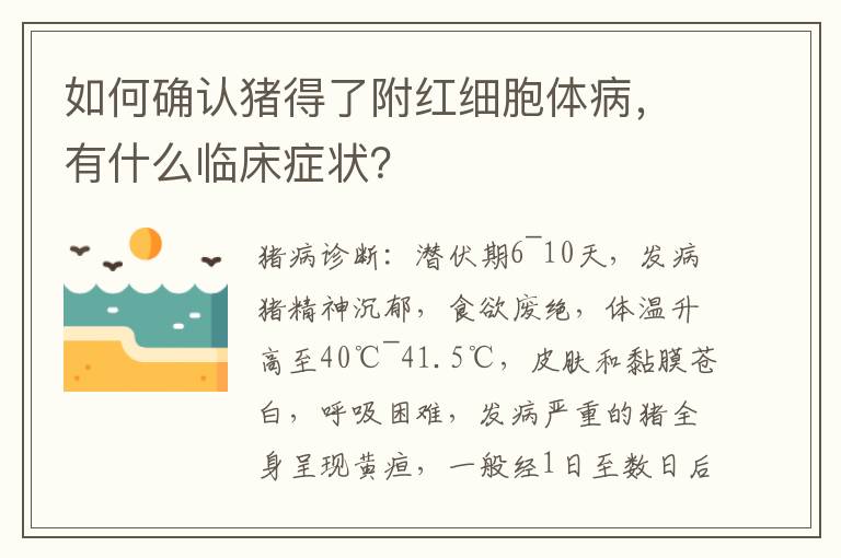如何确认猪得了附红细胞体病，有什么临床症状？