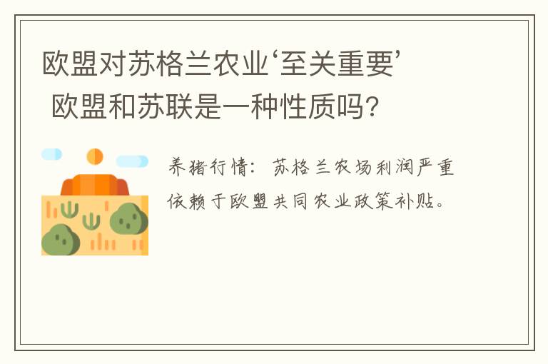 欧盟对苏格兰农业‘至关重要’ 欧盟和苏联是一种性质吗?