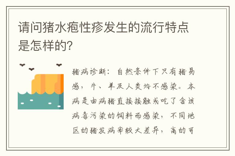 请问猪水疱性疹发生的流行特点是怎样的？