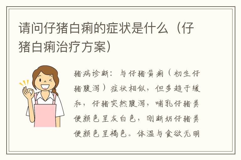请问仔猪白痢的症状是什么（仔猪白痢治疗方案）