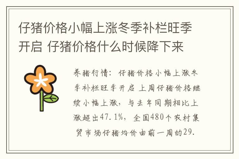 仔猪价格小幅上涨冬季补栏旺季开启 仔猪价格什么时候降下来