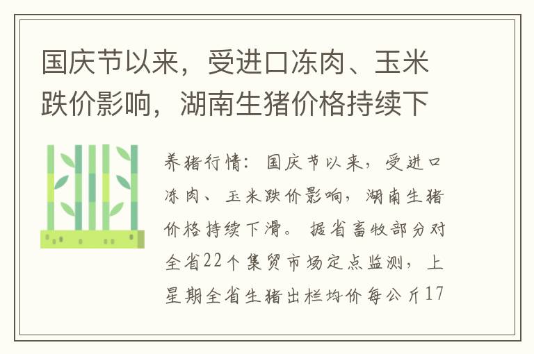 国庆节以来，受进口冻肉、玉米跌价影响，湖南生猪价格持续下滑