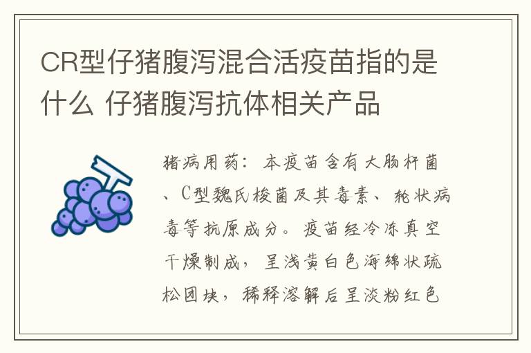 CR型仔猪腹泻混合活疫苗指的是什么 仔猪腹泻抗体相关产品