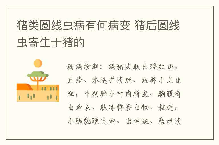 猪类圆线虫病有何病变 猪后圆线虫寄生于猪的