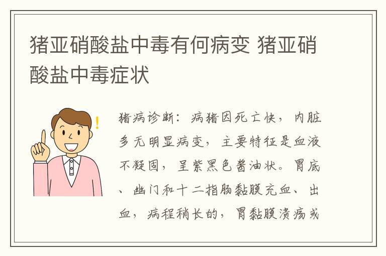 猪亚硝酸盐中毒有何病变 猪亚硝酸盐中毒症状