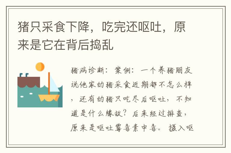 猪只采食下降，吃完还呕吐，原来是它在背后捣乱