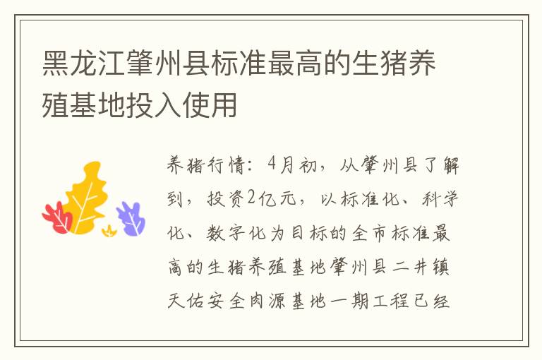 黑龙江肇州县标准最高的生猪养殖基地投入使用