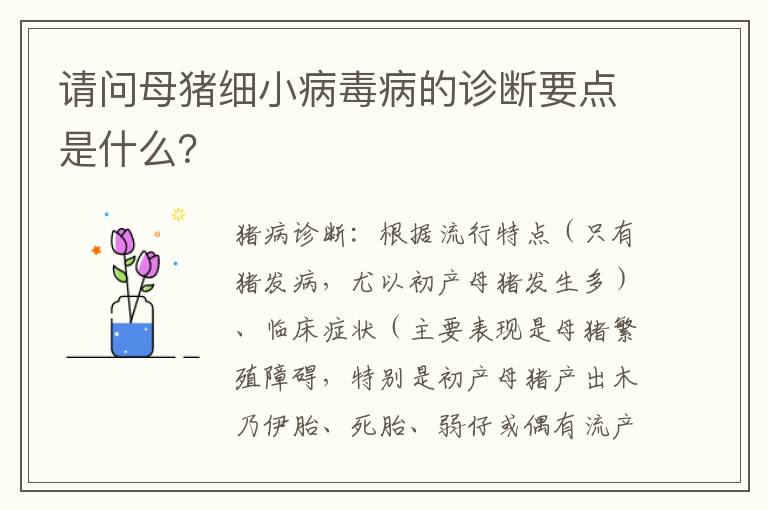 请问母猪细小病毒病的诊断要点是什么？