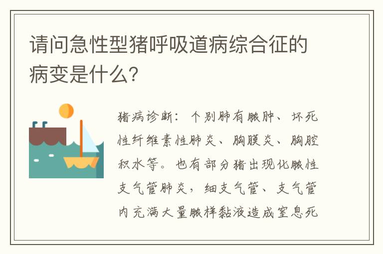 请问急性型猪呼吸道病综合征的病变是什么？