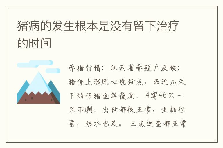 猪病的发生根本是没有留下治疗的时间