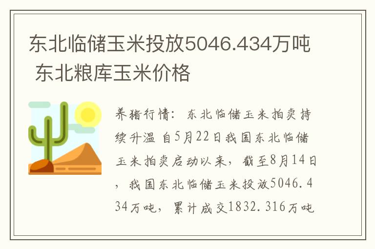东北临储玉米投放5046.434万吨 东北粮库玉米价格