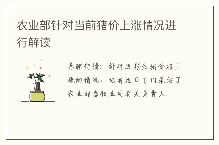 农业部针对当前猪价上涨情况进行解读