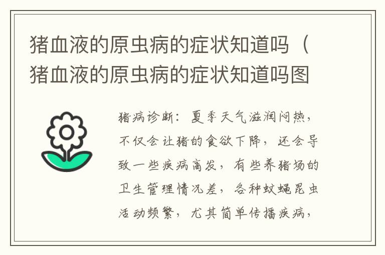 猪血液的原虫病的症状知道吗（猪血液的原虫病的症状知道吗图片）