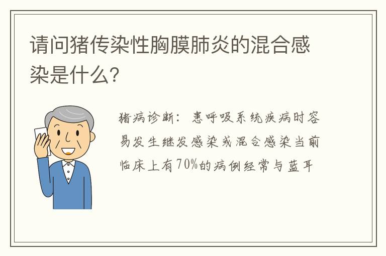 请问猪传染性胸膜肺炎的混合感染是什么？